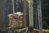 Doppelausstellung «Ins Holz» in der Kulturschüür Männedorf