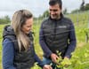 Alkoholfreier Wein: «Man muss komplett umdenken»