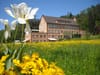 Verein Appisberg: Vorstandswahl auf Ende August verschoben