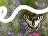 Naturgarten der Anna Zemp-Stiftung erhält Höchstbewertung