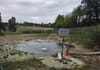 Dem Wald geht das Wasser aus – und den Fischen der Sauerstoff
