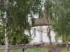 Zwei abgestorbene Birken auf dem Friedhof Stäfa müssen gefällt werden