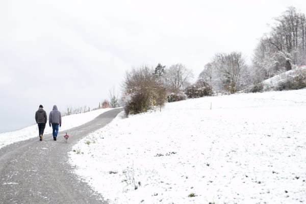Der erste Schnee in Stäfa - Leserbilder