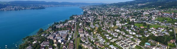 Vogelgrippe-Fall in Männedorf: Kontrollgebiet aufgehoben