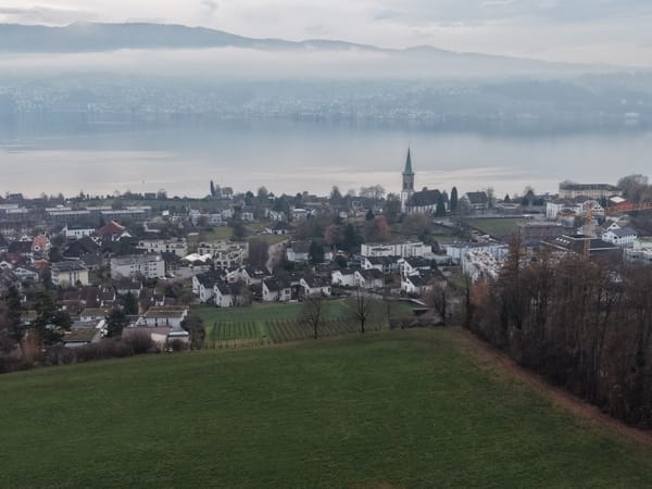 Fachwissen für die Natur: Stäfa sucht Verstärkung für die Landschaftskommission