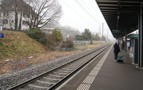 Männedorf rüstet sich für SBB-Ausbau: Warum jetzt die Bäume fallen