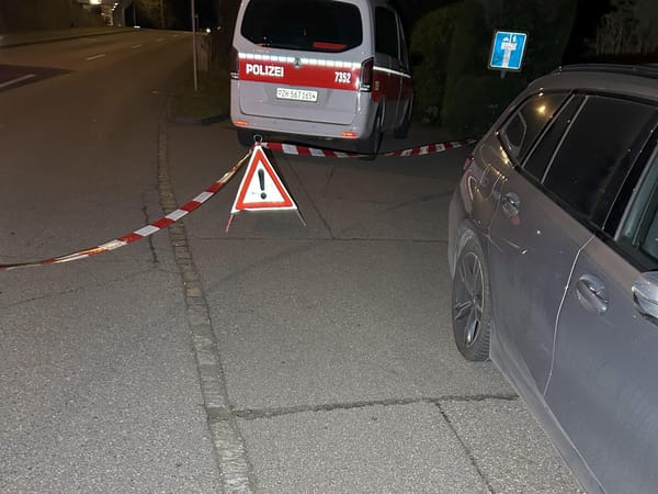 Blutiger Silvesterabend in Meilen: Mann niedergestochen und Frau festgenommen