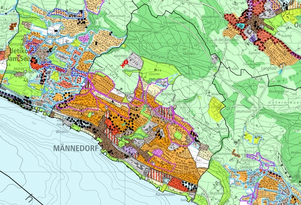 Wer vermisst Männedorf?