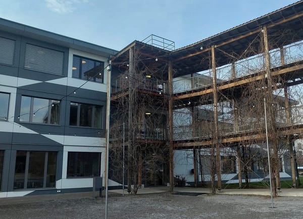 Schüler der Kantonsschule Uetikon gewinnen FAZ-Preise in Frankfurt