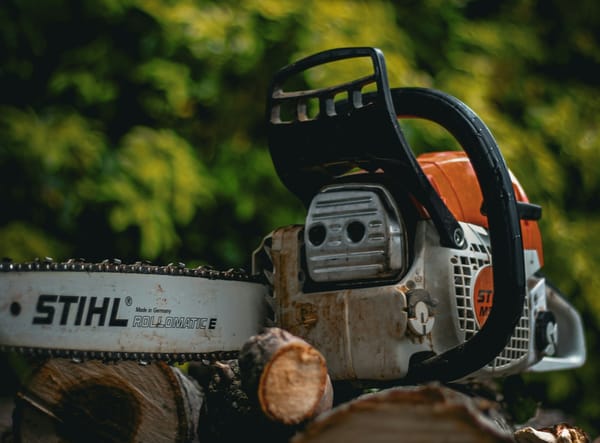 Feldbachstrasse: Sicherheitsholzschlag sorgt für Wartezeiten