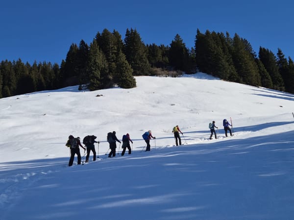 Schneeschuhtour des Frauenvereins Männedorf in den Weissenbergen