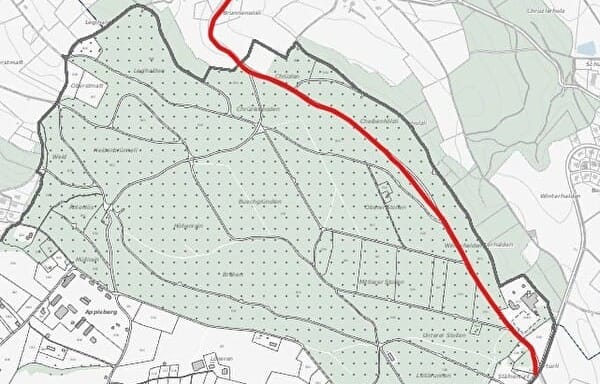Nächtliches Fahrverbot: Die Amphibienwanderung an der Winterhaldenstrasse beginnt