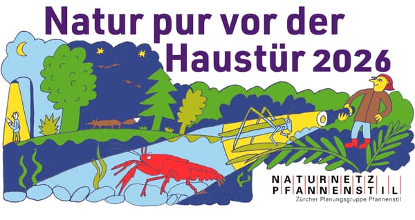 Wo versteckt sich die Natur? 13 Entdeckungstouren vor der Haustür