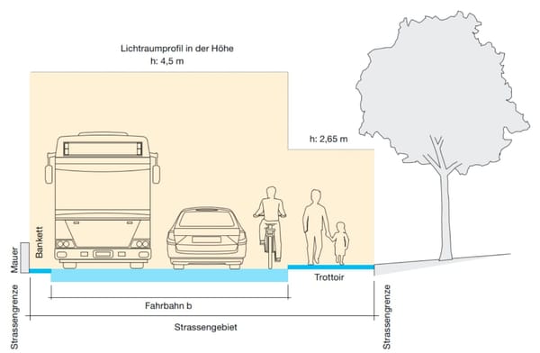 Hombrechtikon verschärft Regeln beim Pflanzenrückschnitt