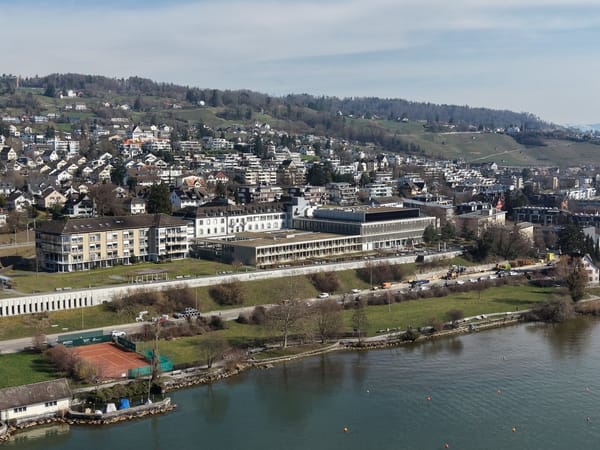 Ökologische Aufwertung am Seeufer in Männedorf geplant