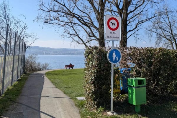 Lockerung des Hundeverbots am See sorgt für Diskussionen