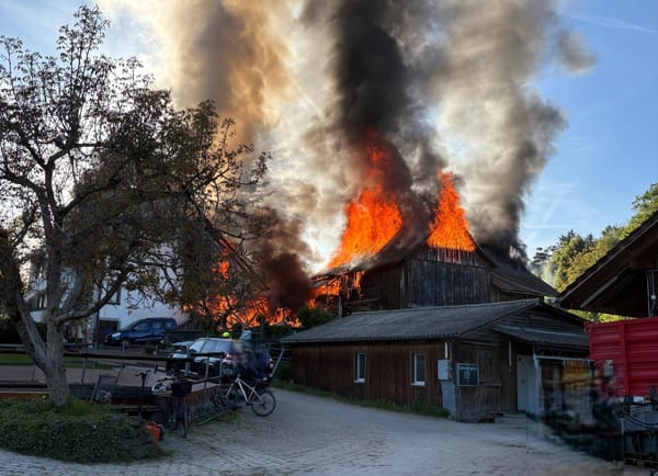 Hombrechtikon: Brand in Reithof mit zehn Verletzten