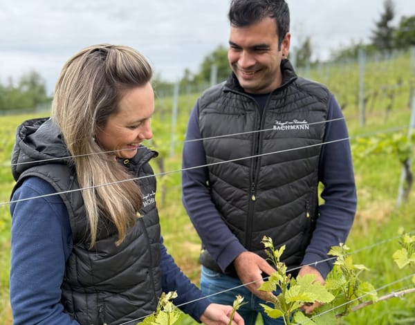 Alkoholfreier Wein: «Man muss komplett umdenken»