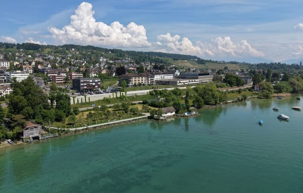 Männedorf will das Seeufer bei der Pfruenderhaab revitalisieren