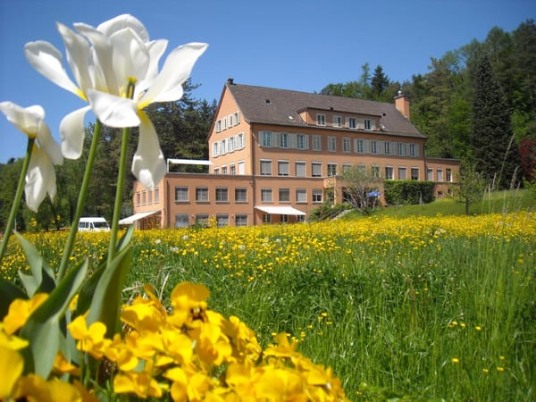 Verein Appisberg: Vorstandswahl auf Ende August verschoben