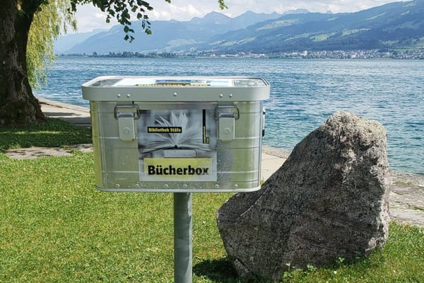 Ein Kistchen voller Bücher – und eine weltweite Idee dahinter