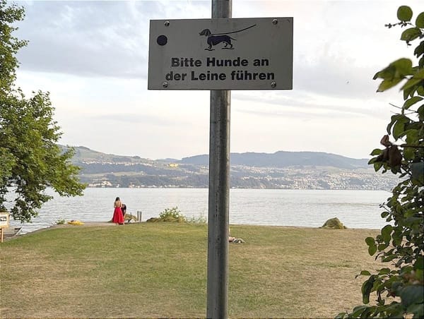 Die Gemeinde hat das Hundeverbotsschild beim Ritterhaus entfernt