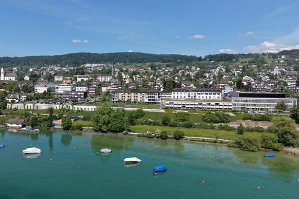 Pilzbefall an der Pfruenderhaab: Riesige Bruch-Weide gefällt
