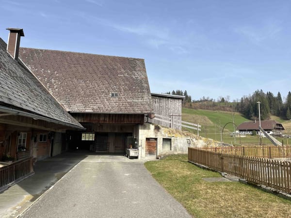 «Chumm und lueg»: Eine Woche Emmental, ein neuer Stall
