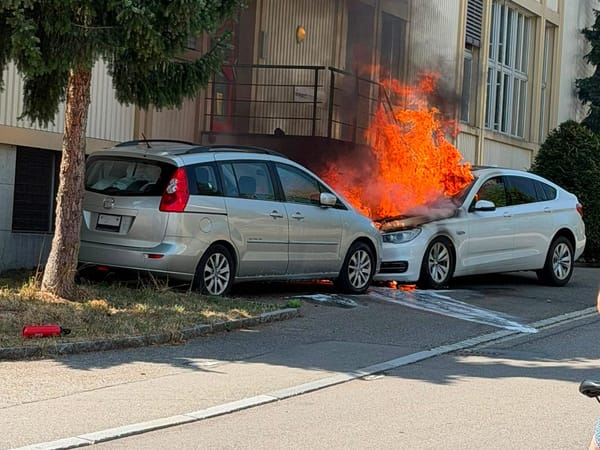 Autos an der Eichtalstrasse in Vollbrand