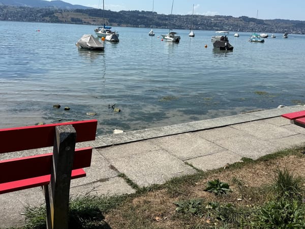 Zürichsee Pegel könnte um weitere 20 cm sinken – Stäfa warnt bei Bootsplätzen
