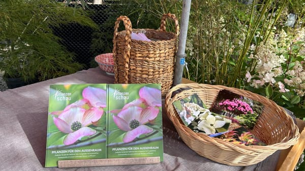 Zwei Tage Blütenmeer: Das Gartenfestival der Pflanzenschau am Lützelsee
