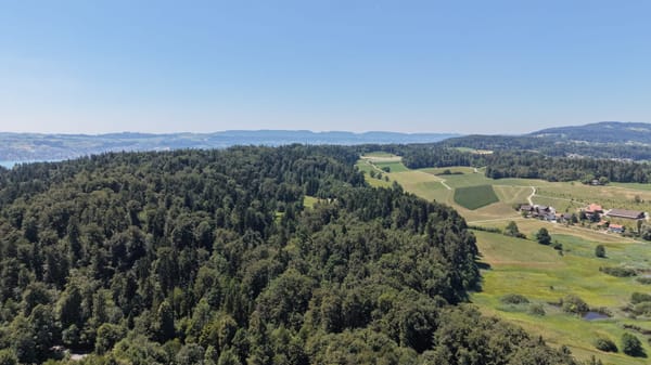 Windrad-Abstand in Hombrechtikon steht vor dem Aus