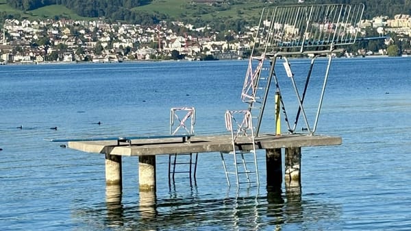 Männedorfs letztes grünes Ufer: Wie das Strandbad Sonnenfeld die Hitzewelle überstanden hat