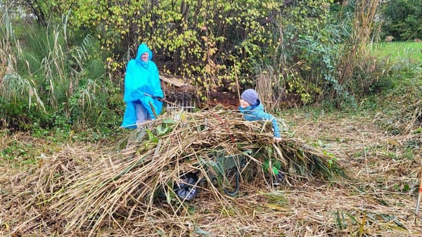 18 Freiwillige trotzen Regen und Wind für die Naturpflege