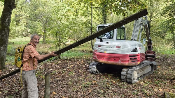 Bagger schafft am Bolligerweiher neuen Wasserraum