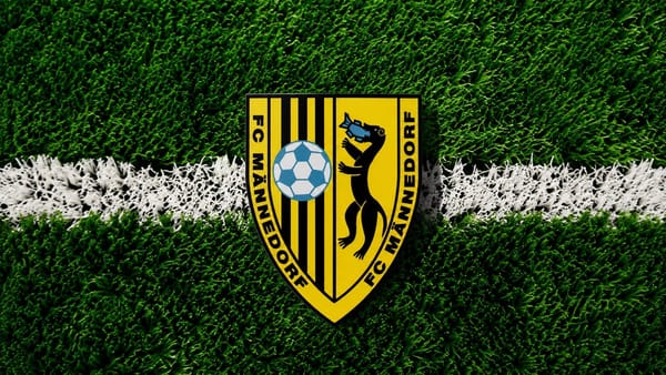 Männedorfs Zweite verspielt frühe 2:0-Führung