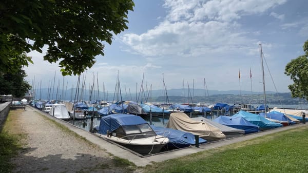 Zwei Bäume beim Bootshafen Weiern gefällt