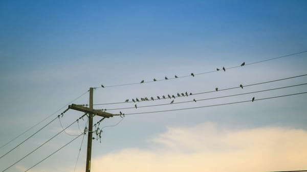 Batteriespeicher für die Gemeindewerke: Stäfa entscheidet über Prüfauftrag